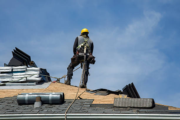 Professional Gutter Installation technician working in Cerulean, KY